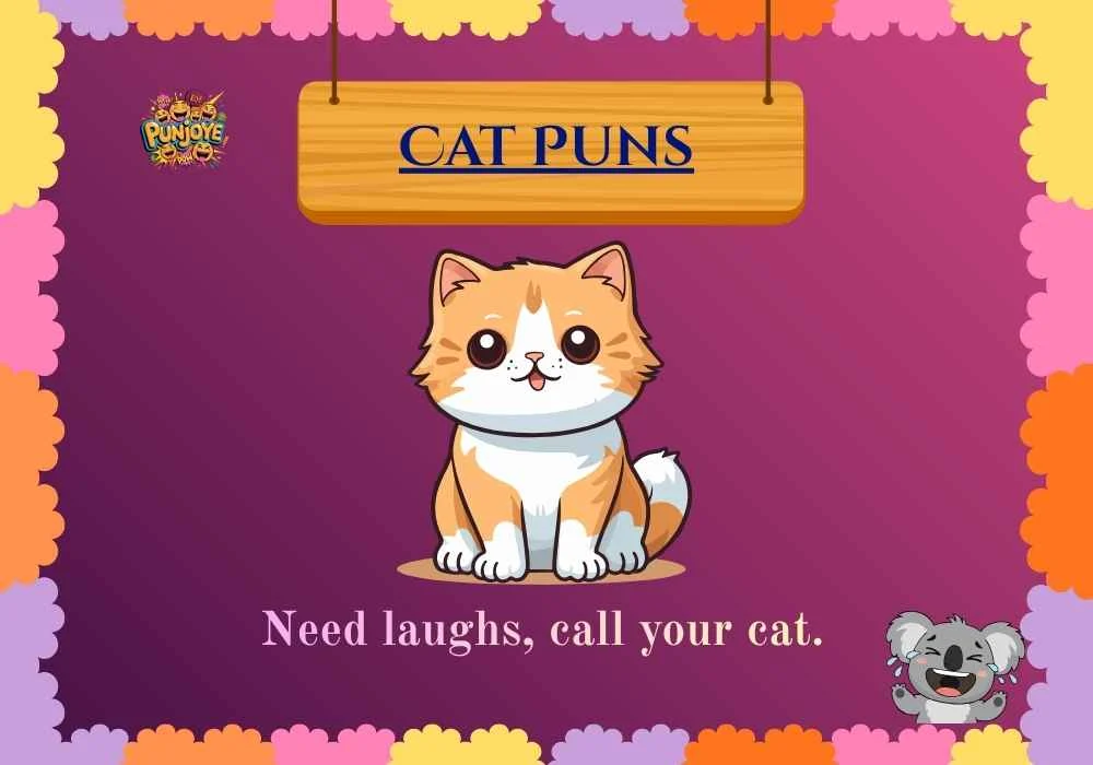 Cat Puns