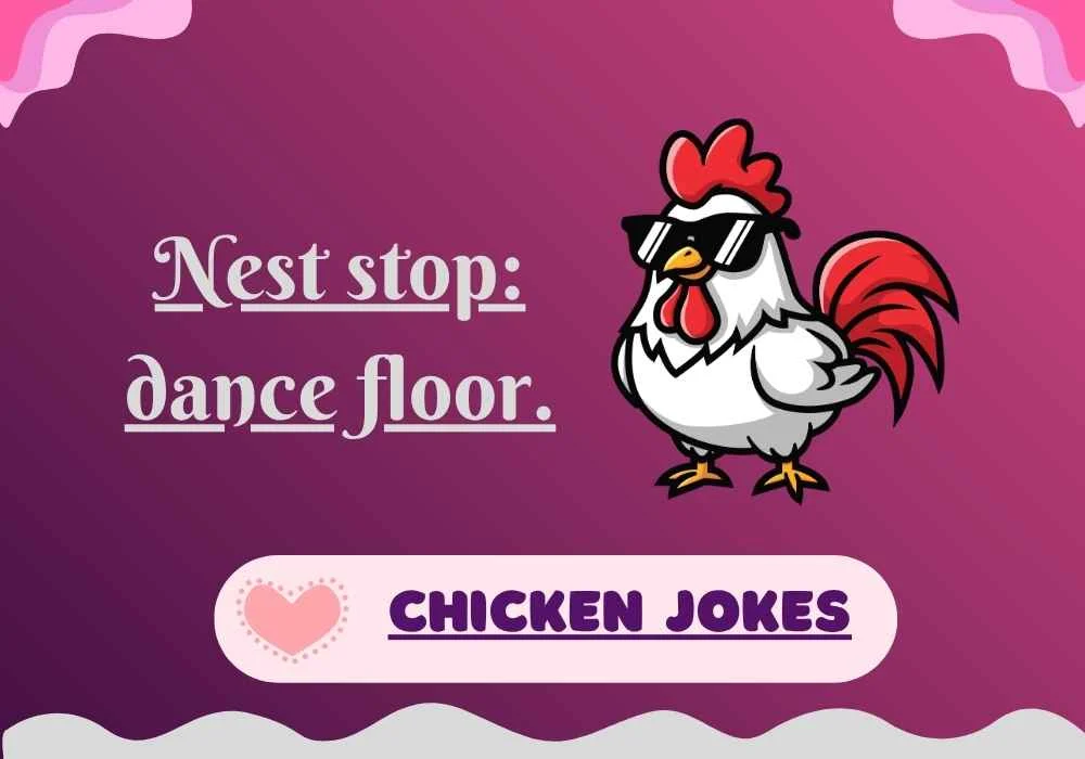 Chicken Jokes