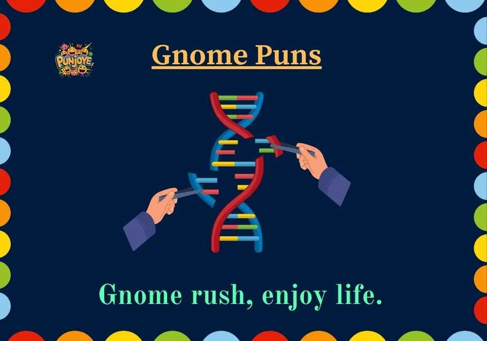 Gnome Puns