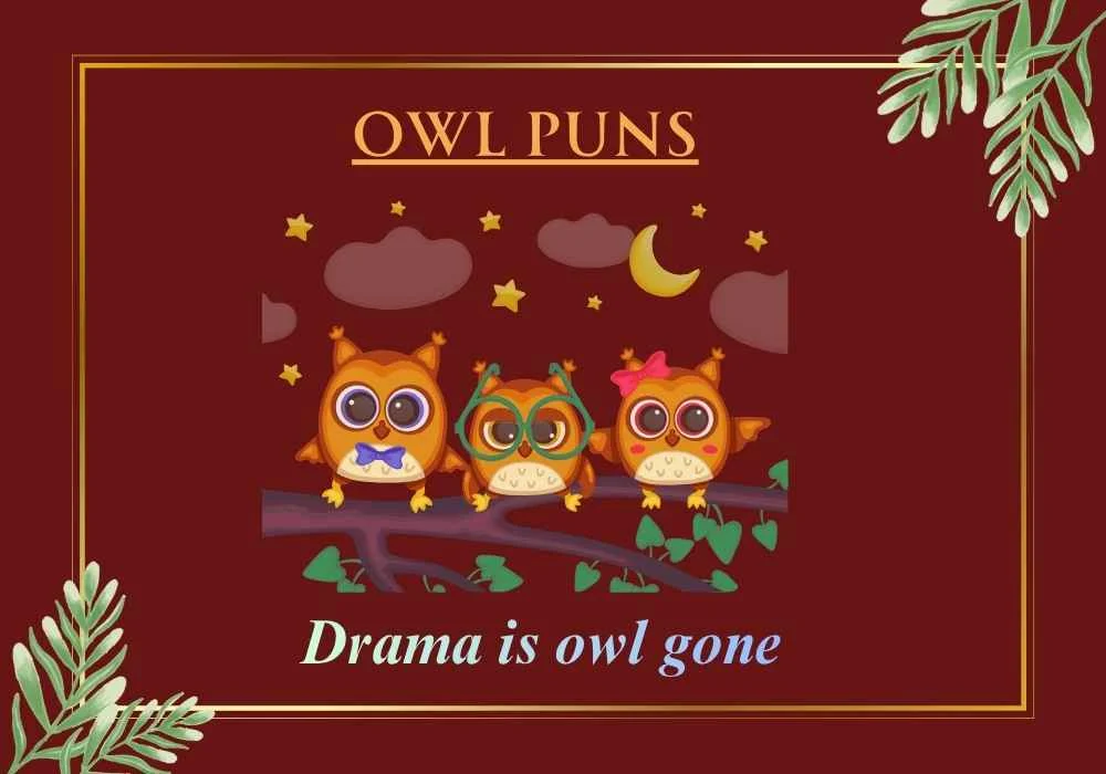 Owl Puns