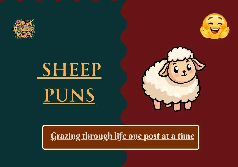 Sheep Puns