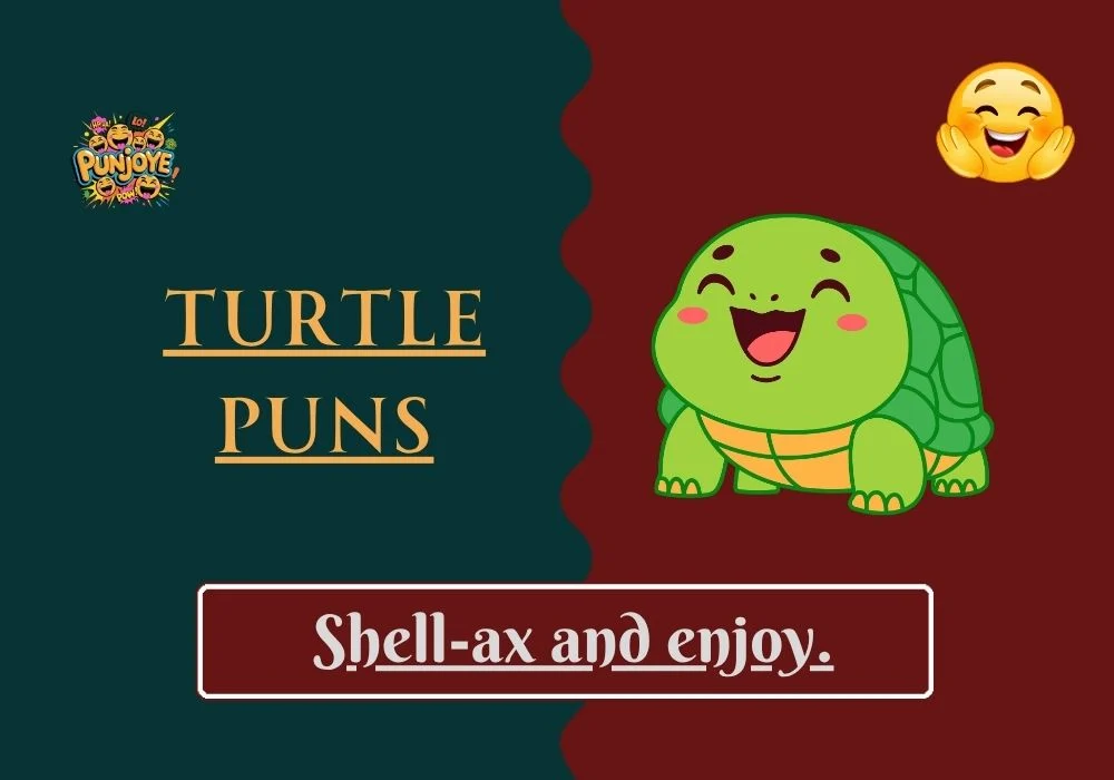 Turtle Puns