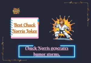 Best Chuck Norris Jokes
