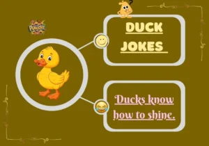 Duck Jokes
