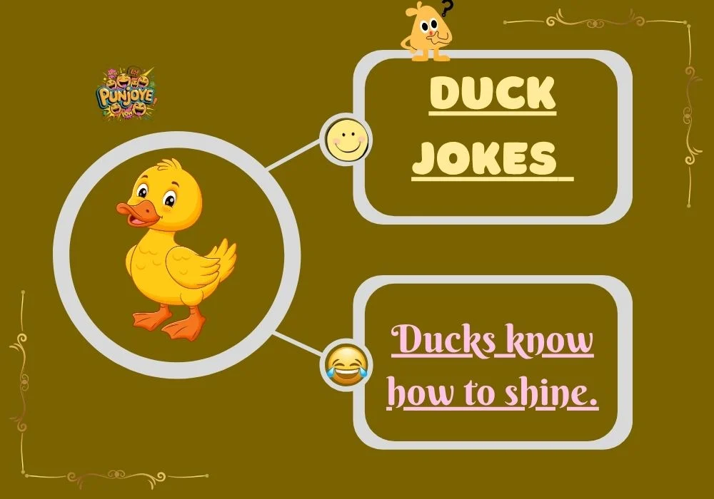 Duck Jokes