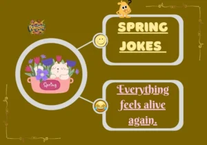 Spring Jokes