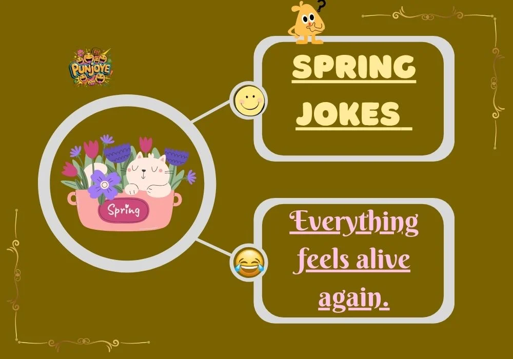 Spring Jokes
