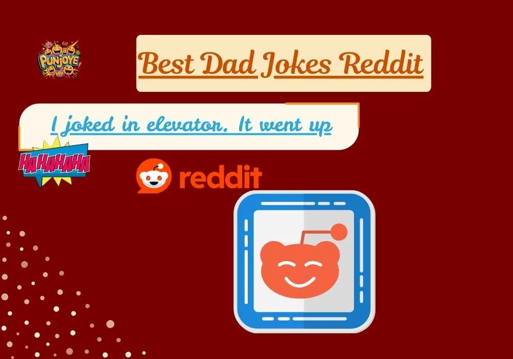 Best Dad Jokes Reddit