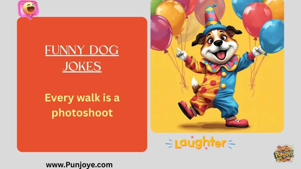 Funny Dog Jokes