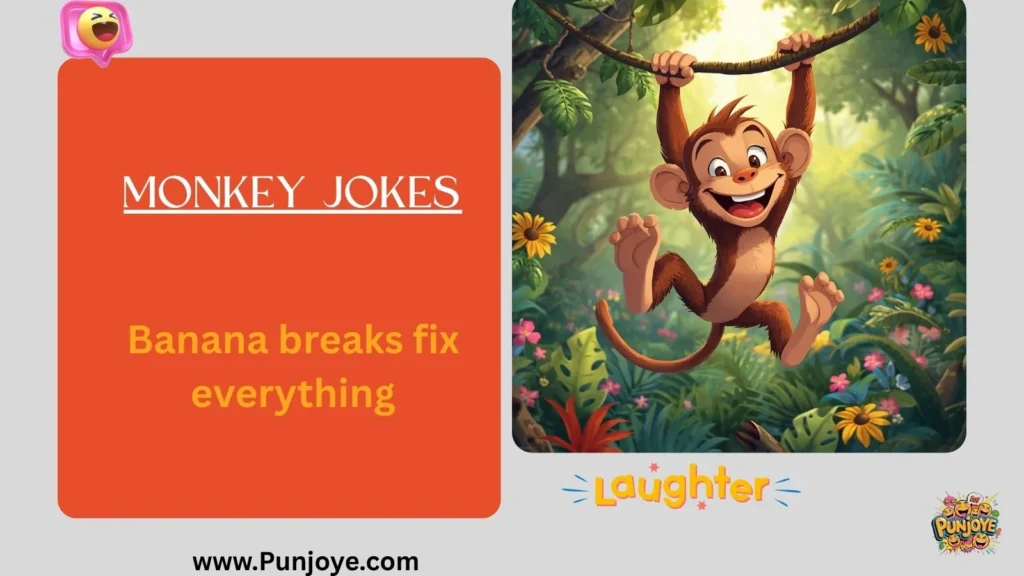 Monkey Jokes